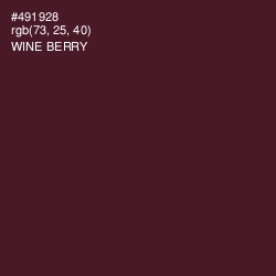 #491928 - Wine Berry Color Image